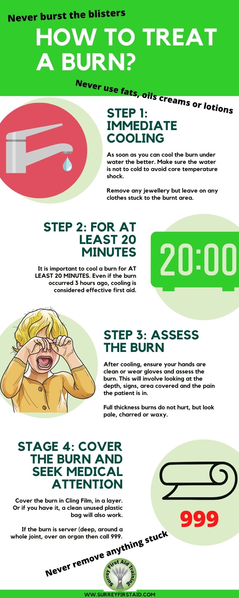 Green Illustration Butterfly Timeline Infographic